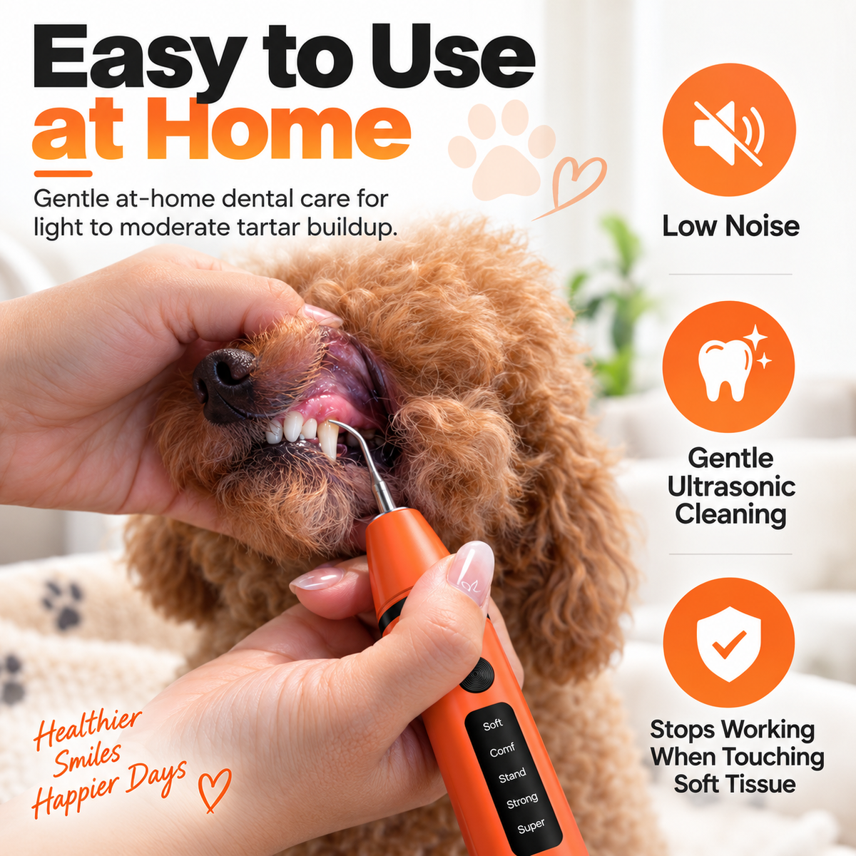 Ultrasonic Dental Cleaner for Dogs
