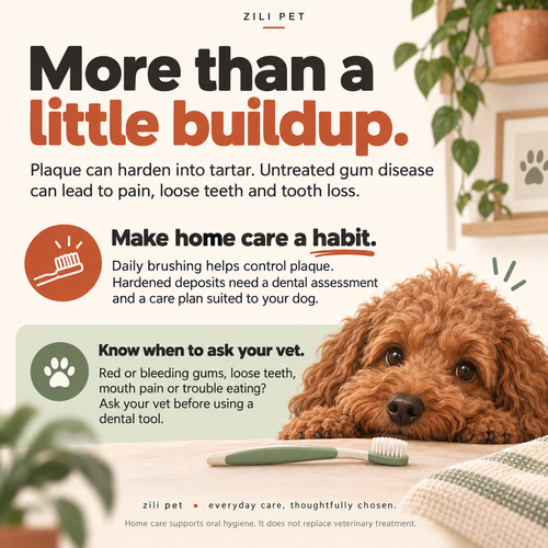 Ultrasonic Dental Cleaner for Dogs